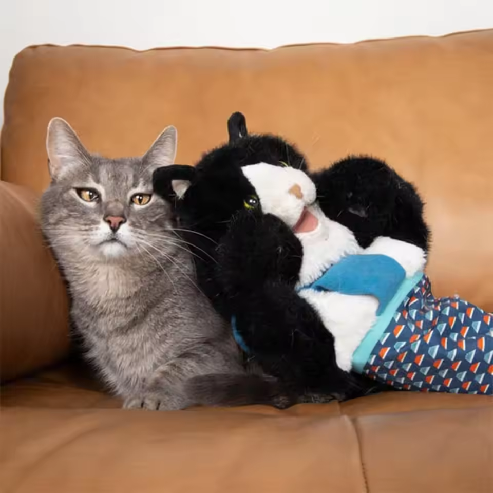 Pet Toy Gloves for Cats Interactive Wrestling Puppet Gloves