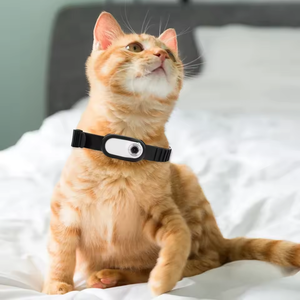 Mini Pet Collar Camera with 1080P HD Video and LCD Display