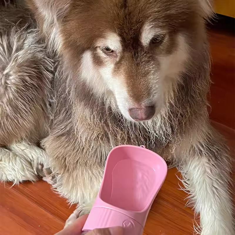 Portable Dog Water Bottle with Food Container and Bowl